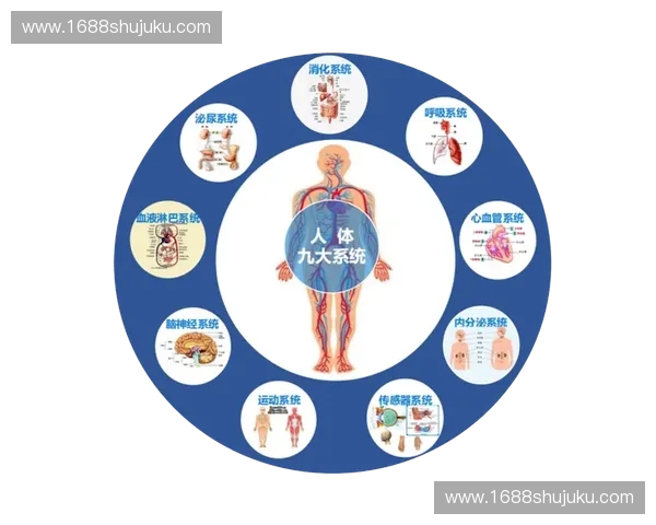 运动康复科技创新助力健康管理发展前景与应用趋势分析 运动康复科技创新助力健康管理发展前景与应用趋势分析