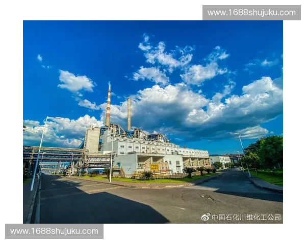 围绕脚步后撤探索身体平衡与动态协调机制多维度综合范式化分析 围绕脚步后撤探索身体平衡与动态协调机制多维度综合范式化分析