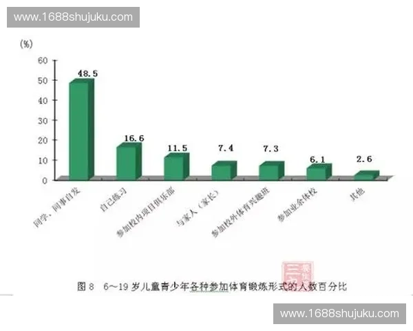 以全民健康为导向的综合体育发展行动计划蓝图建设与实施路径研究