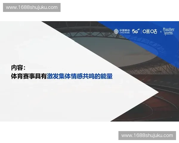 体育营销创新策略与品牌价值提升实践研究探索 体育营销创新策略与品牌价值提升实践研究探索